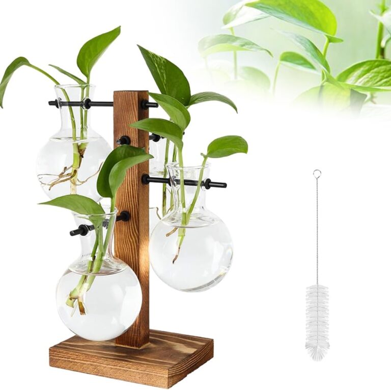 Glass propagation station