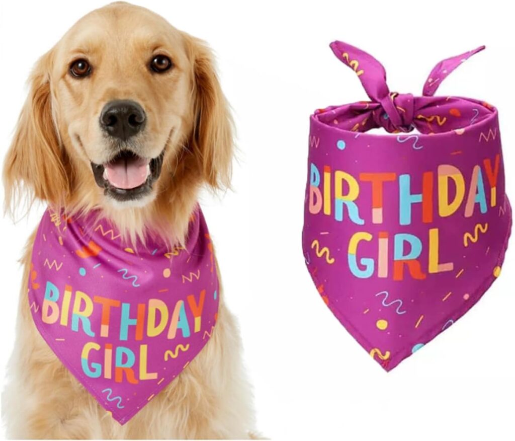 Pet birthday bandana – 30.5" x 20.5" – Pink