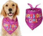 Pet birthday bandana – 30.5" x 20.5" – Pink