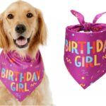 Pet birthday bandana – 30.5" x 20.5" – Pink