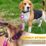 Clip-on LED pet collar lights – Blue, Green, Pink, Silver – 3-pack - Image 4