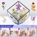Abeillo Transparent floral scrapbook stickers – Daisy, Lavender, Lilac Series – 120-pack - Image 2