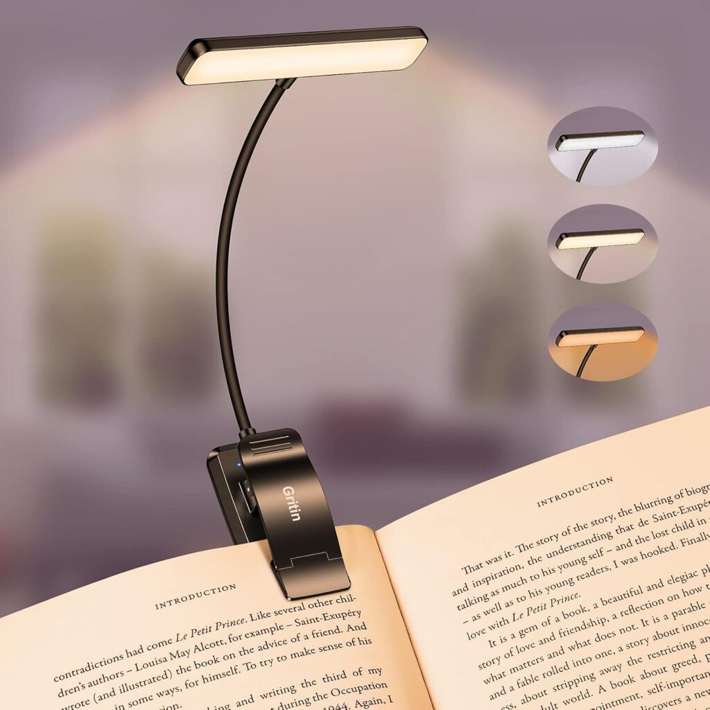 Gritin 19-LED rechargeable clip-on reading light – Black