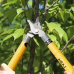 AIRAJ Telescopic bypass garden loppers – Orange - Image 6