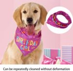 Pet birthday bandana – 30.5" x 20.5" – Pink - Image 4