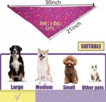 Pet birthday bandana – 30.5" x 20.5" – Pink - Image 2