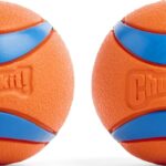 Chuckit! Rubber dog fetch balls