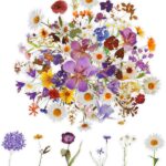 Abeillo Transparent floral scrapbook stickers – Daisy, Lavender, Lilac Series – 120-pack