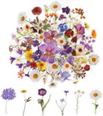 Abeillo Transparent floral scrapbook stickers – Daisy, Lavender, Lilac Series – 120-pack