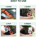 Artiwell Terracotta Watering SpikesPlant Self-Watering Devices - Image 5