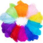 Oerphh Coloured craft feathers – Colorful