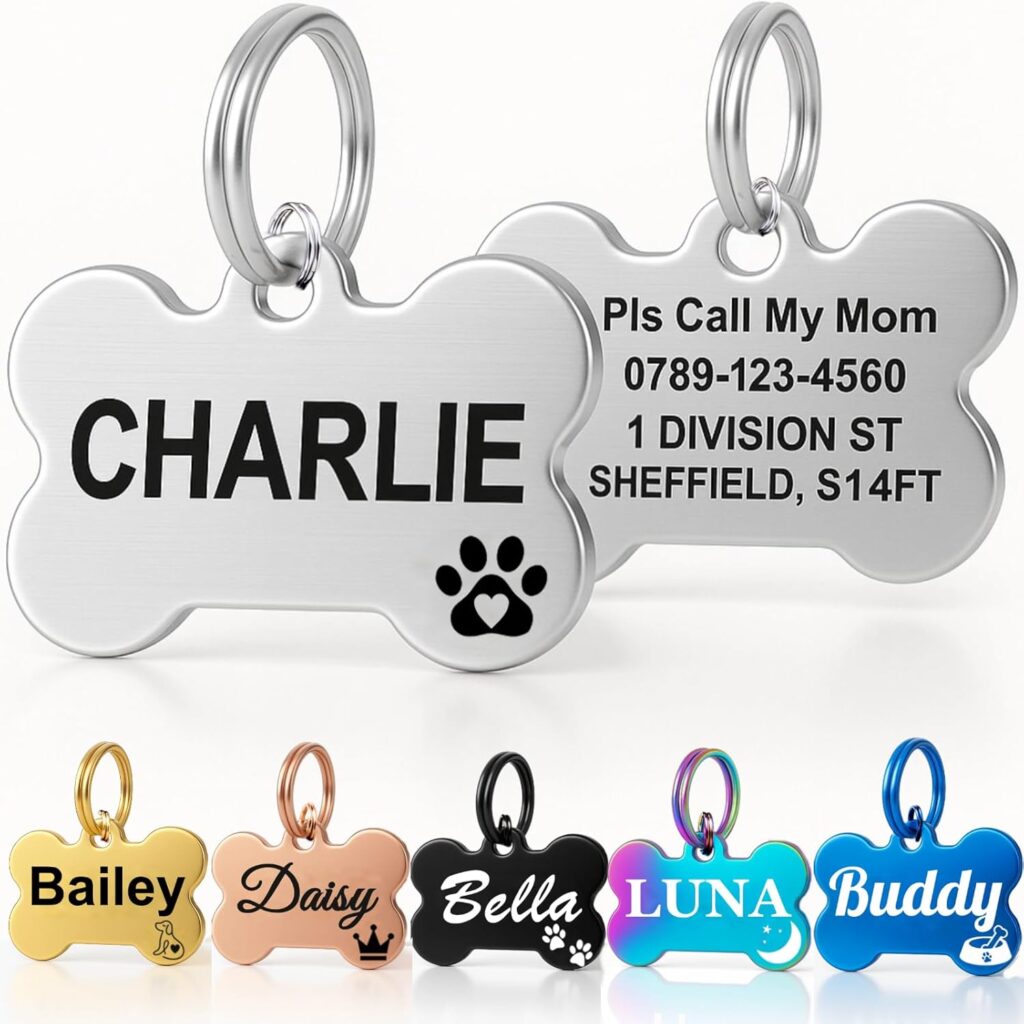 SEOUGEE Personalised pet ID tag – Silver Bone