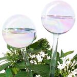 Glass self-watering globes – Iridescent 2-pack – 2-pack