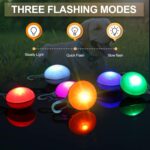 Clip-on LED pet collar lights – Blue, Green, Pink, Silver – 3-pack - Image 3