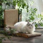 Wall-mounted cardboard cat scratcher – ST01 – brown - Image 7