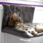 Radiator-mounted pet hammock bed – 46 x 30 x 25 cm (L x W x H) – Grey - Image 7