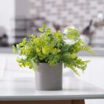 Glass self-watering globes – Iridescent 2-pack – 2-pack - Image 9