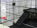 Cage-mounted rabbit water bottle – Clear – 600 ml - Image 5