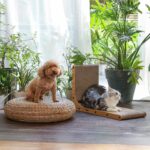 Wall-mounted cardboard cat scratcher – ST01 – brown - Image 4