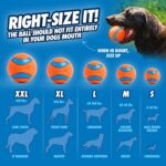 Chuckit! Rubber dog fetch balls - Image 5