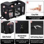 GRTLPOK Foldable soft-sided pet carrier – Black - Image 4