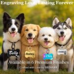 SEOUGEE Personalised pet ID tag – Silver Bone - Image 2