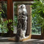 Wall-mounted cardboard cat scratcher – ST01 – brown - Image 5