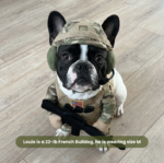 Dog Soldier Costume — product image 3